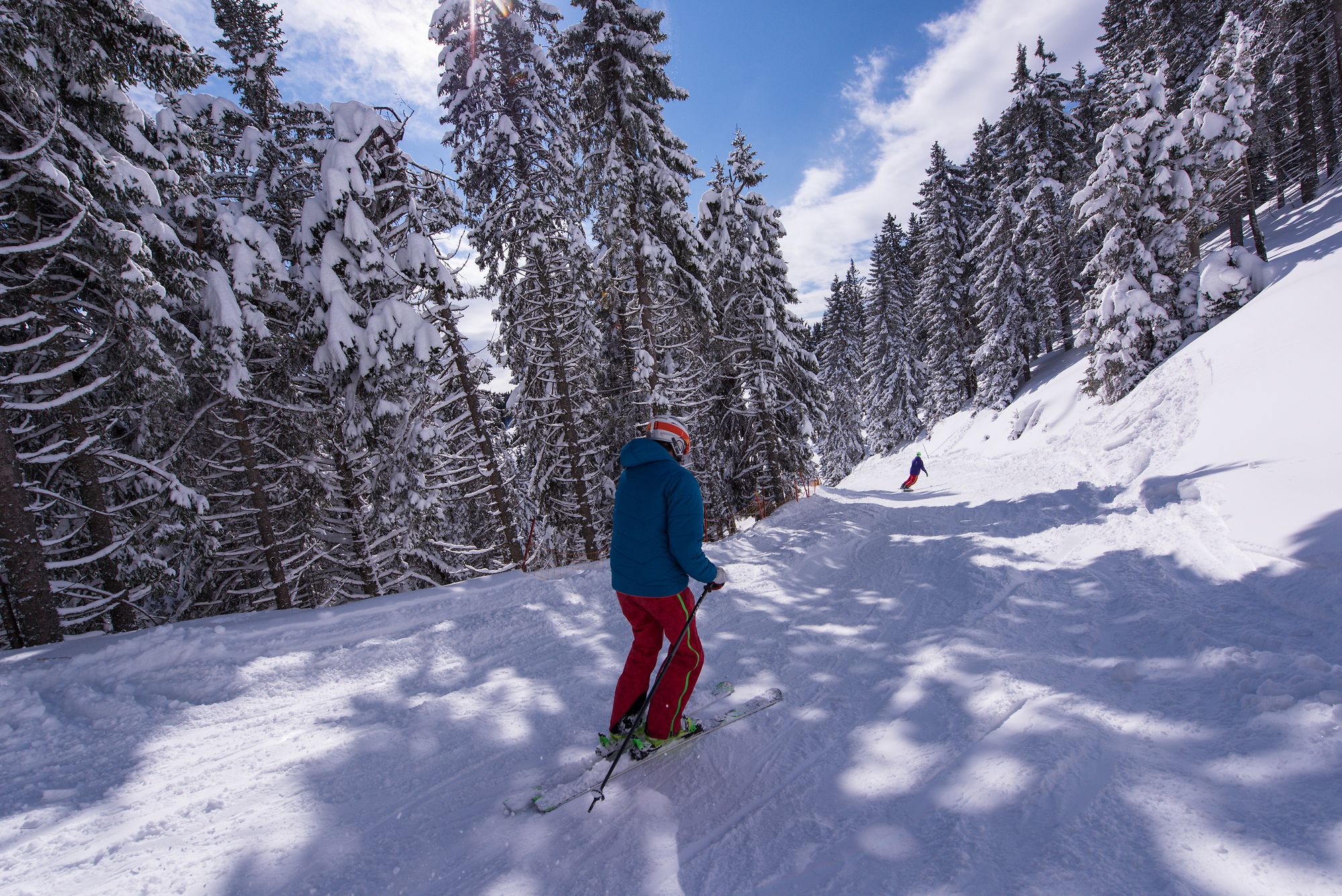 Skiers in a winter idyll